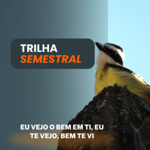 Trilhas Semestral